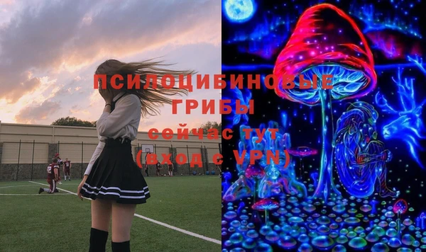 молекула духа Алексеевка