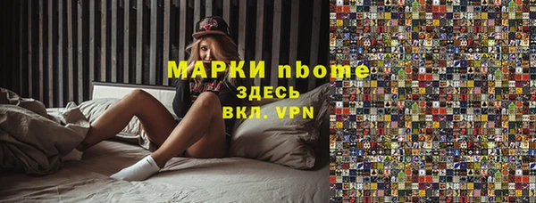 гашик Няндома