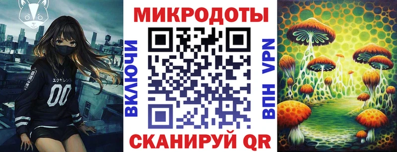 Галлюциногенные грибы Psilocybe  закладка  omg ONION  Куйбышев 