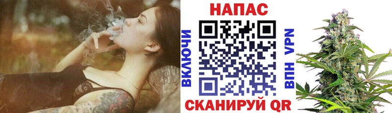 Конопля семена Куйбышев